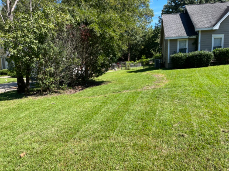 Coleman Landscaping Lawn Care Services in Lexington, TN