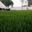 grass-cutting-businesses-in-Logan-UT
