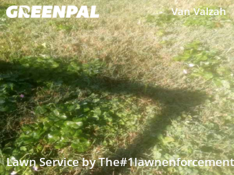 Lawn Mow nearby Port Orange, FL, 