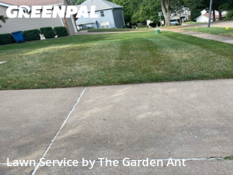 Lawn Mowin Ballwin,63011,Lawn Care Service by The Garden Ant , work completed in Nov , 2025