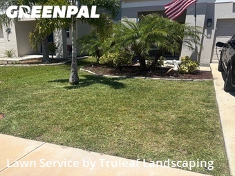 Lawn Care nearby Parrish, FL, 