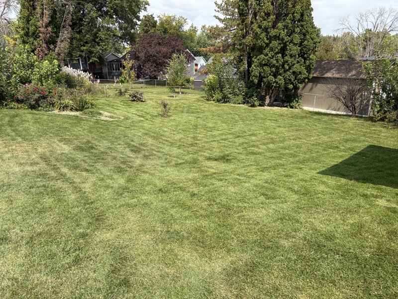Work Image 1