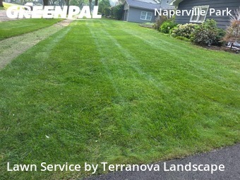Lawn Mowing nearby Naperville, IL, 