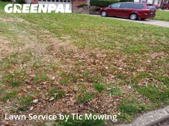 Yard Cutting nearby Decatur, IL, 