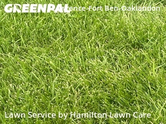 Yard Mowing nearby Indianapolis, IN, 