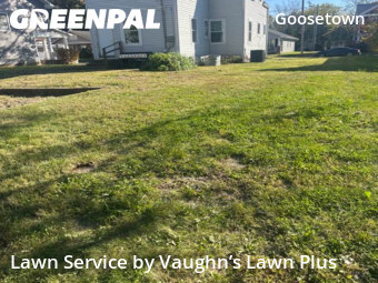 Grass Cutting in Evansville, 47713, Yard Work by Vaughn’s Lawn Plus, work completed in Nov , 2025