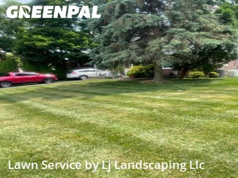 Grass Cutting nearby Springfield, DE, 