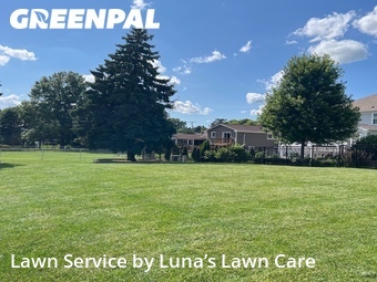 Grass Cut nearby Naperville, IL, 