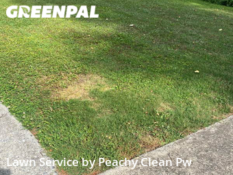 Grass Cutting nearby Hiram, GA, 