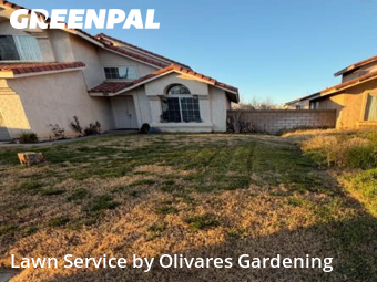 Lawn mowed in Lancaster, 93535