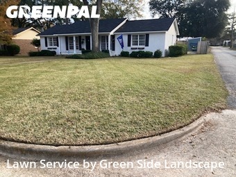 Yard Cutting nearby Albany, GA, 