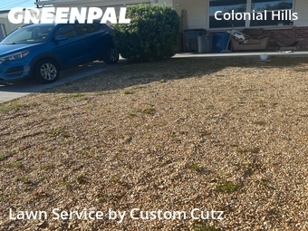 Lawn Maintenance nearby Port Richey, FL, 