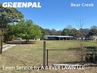 Grass Cutting nearby New Port Richey, FL, 