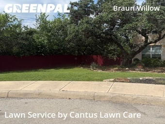 Lawn Mowing Service nearby San Antonio, TX, 