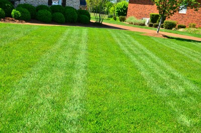 Local Lawn care service near me in Ballajura, WA, 06066