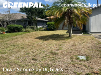 Lawn Care nearby Tampa, FL, 