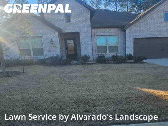 Yard Cuttingin Porter,77365,Lawn Cut by Alvarado's Landscape, work completed in Jun , 2026