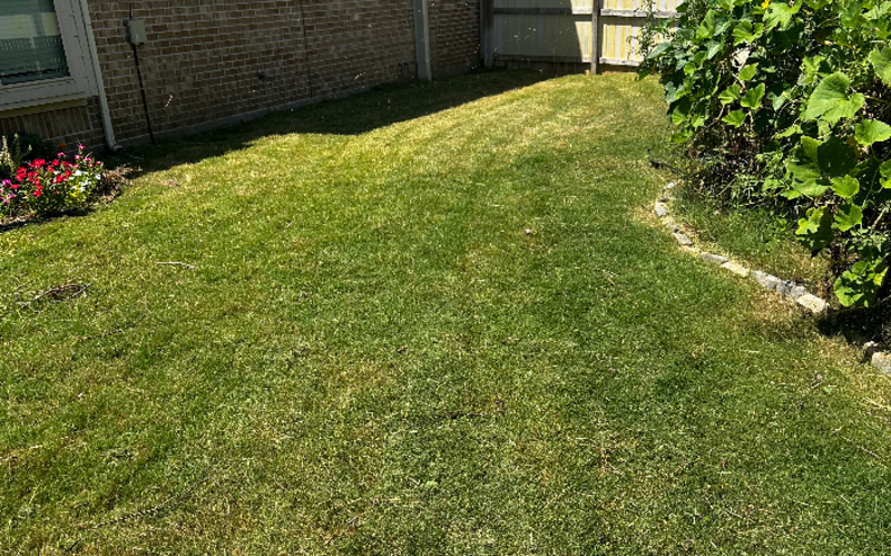 Work Image 2
