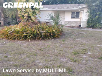 Lawn Mowing Service nearby Palm Harbor, FL, 