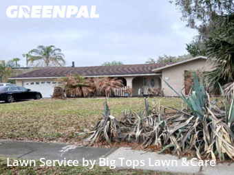 Lawn Mowing Service nearby Altamonte Springs, FL, 