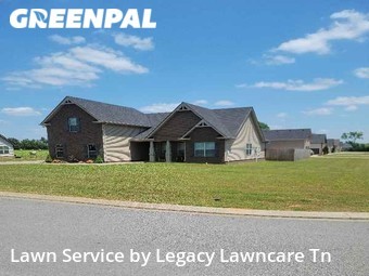 Grass Cut nearby Murfreesboro, TN, 