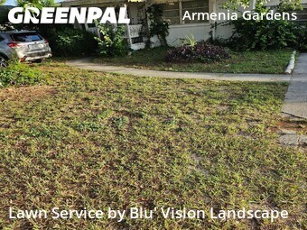 Lawn Mowing nearby Tampa, FL, 