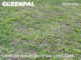Yard Mowing nearby Port St. Lucie, FL, 