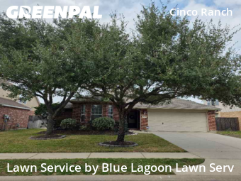 Lawn Mowing Servicein Katy,77494,Lawn Cut by Blue Lagoon Lawn Serv, work completed in Feb , 2026