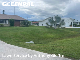 Lawn Cutting nearby Port Charlotte, OH, 