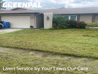 Lawn Cutting nearby Tampa, FL, 