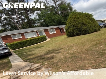 Yard Cutting nearby Valdosta, GA, 
