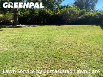 Lawn Cutting nearby Virginia Beach, VA, 