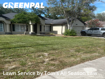 Lawn Cutting nearby Spring Hill, FL, 