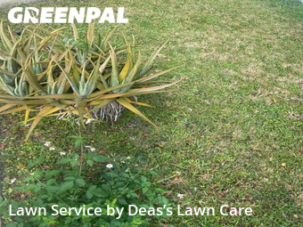 Lawn Cutting nearby Miramar, FL, 
