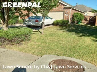 Grass Cutting nearby Richmond, TX, 