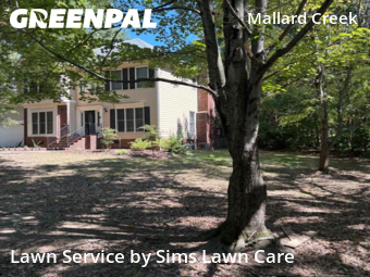 Grass Cut nearby Charlotte, NC, 