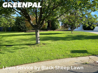 Lawn Care Service nearby Fort Mill, NC, 