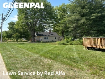 Lawn mowed in Waldorf, 20603