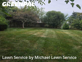 Grass Cutting nearby Livonia, MI, 