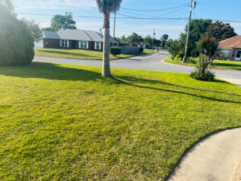 Stotts Lawn Care Lawn Care Services in Pensacola, FL