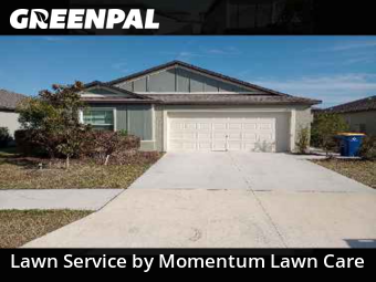 Lawn Cut nearby Zephyrhills, FL, 