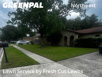 Lawn Service nearby San Antonio, TX, 