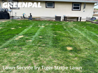 Lawn Mowing Service nearby Omaha, NE, 