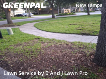 Lawn Service nearby Tampa, FL, 