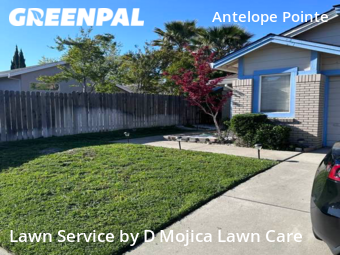 Lawn Care nearby Antelope, CA, 