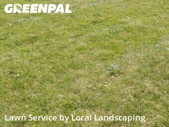 Lawn Maintenance nearby Marion, OH, 