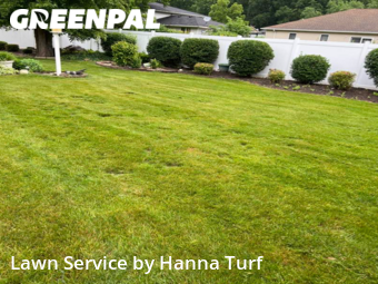 Grass Cut nearby Lorain, OH, 