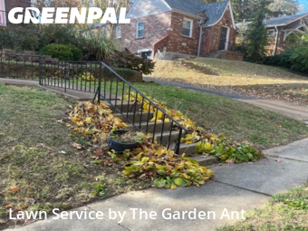 Lawn Cutting nearby Webster Groves, MO, 