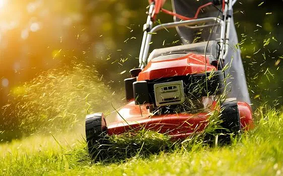 Taveras Lawn Mower Repair Photo 1
