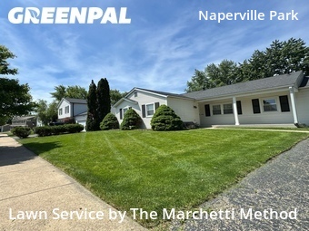 Lawn Care nearby Naperville, IL, 
